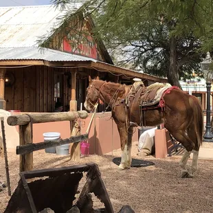 a brown horse with saddle