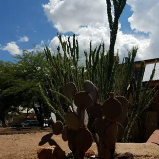 Talk about a beautiful landscape