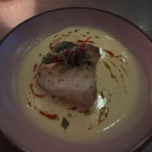 Black Grouper