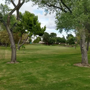Large grassland of the park.