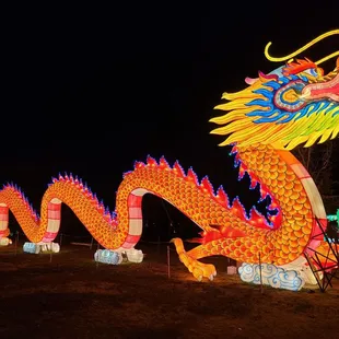 Huge Chinese dragon. This must have been 30 ft long.