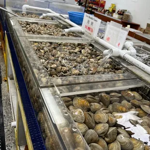 Four Oceans Seafood Inc