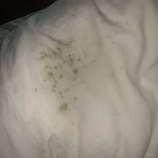Moldy pillow casing