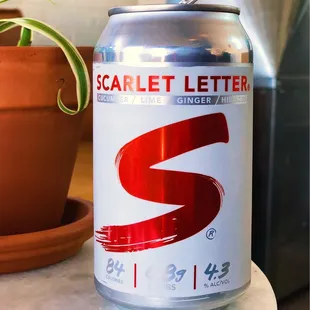 Scarlet Letter