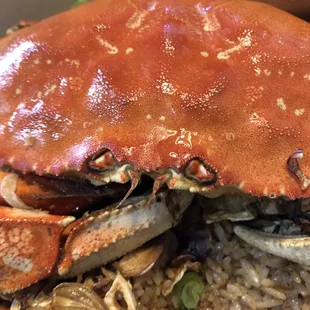 Crab Fried Rice