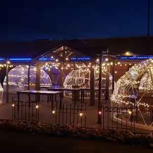 Outdoor Igloo Dining all Winter long! Call us at 810.364.6950 for reservations! Walk In Welcome!
