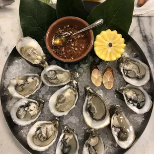 Great Oysters!