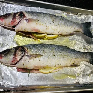 Beautiful whole branzino