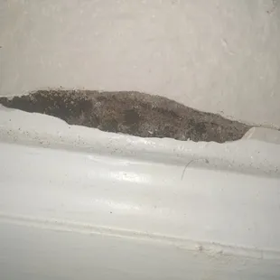 Diningroom black mold