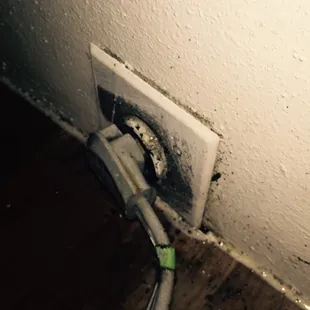 Roaches out of outlets