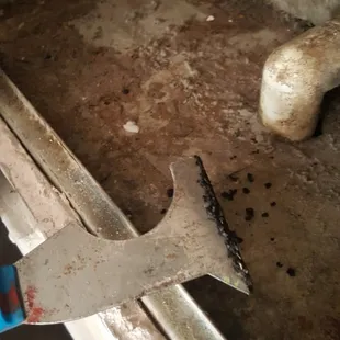 mold scraped from the AC unit!