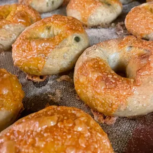 Jalapeño cheddar sourdough bagel