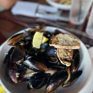 Mussels