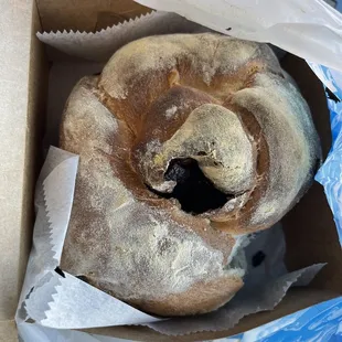 Calamata olive bread