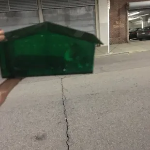 mouse captured after apartment wasn't doing anything to get rid of them