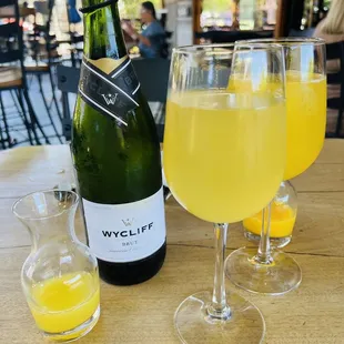 Mega Mimosa