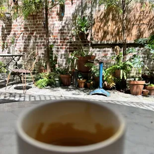 Cortado in the courtyard.