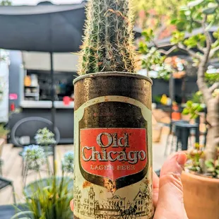 a hand holding a bottle of old chicago beer