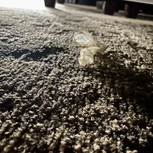 Used condom under our 'clean' bed in our 'clean' room we just got in. We paid extra for the 'upgraded' room they said.