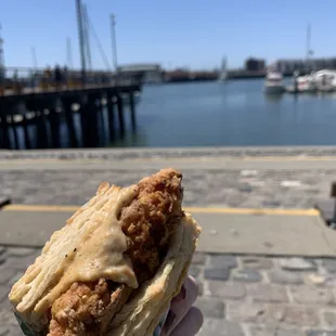 Chicken Biscuit
