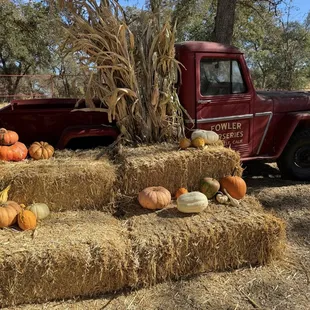 Photo op. One of several