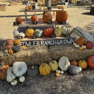 Prices. Astronomical.