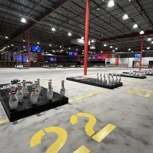 Fowling Game
