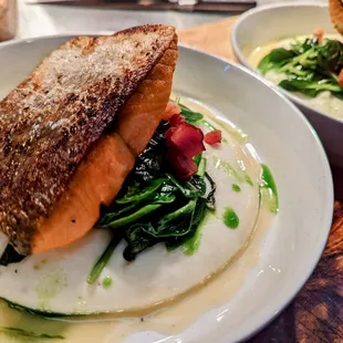 Salmon with pomme purée