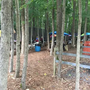 Places to sit down in the trees