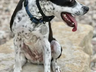 Windhaven Meadows Park