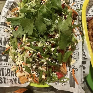 Wonton nachos