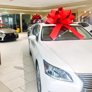 Now this is a nice view