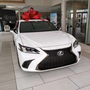 Fsport with cute bow