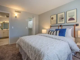 The Vintage Apartments