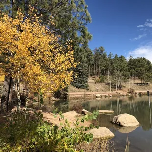 FoxRun LAKE