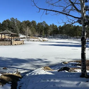 On frozen pond