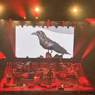 Crow