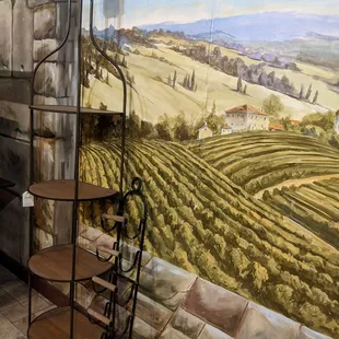 a view of a vineyard