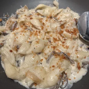 Mushroom conchiglitte