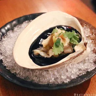 Surf Clam