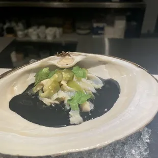 Squid