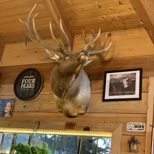 interior, sushi and sashimi