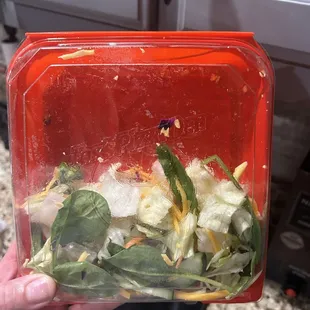 Half container Tossed Salad