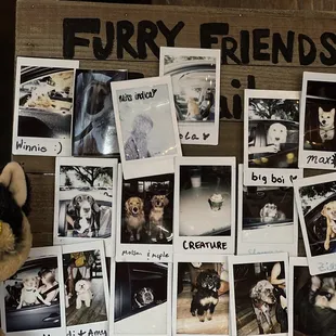 I'm here for the fury friends.