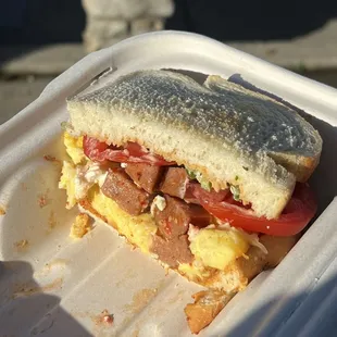 The second half of the hot fox sandwich