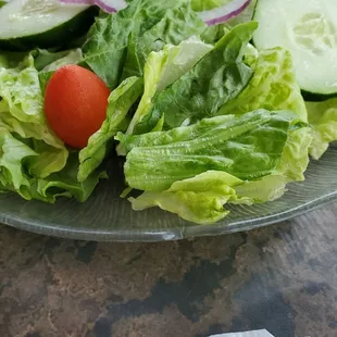 Sad house salad: 2 cherry tomatoes, 2 slice of cucumber and 4 slice of red onion on wilted iceberg lettuce.