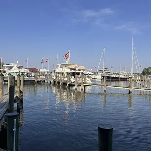 The view from the patio