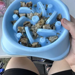 1 of the dog's bowls with Lilly's chicken