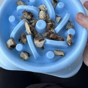 The other dog bowl of Lilly's chicken. This was 1 order split into 2 bowls.