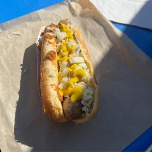 hot dog, hot dogs, food, sandwich